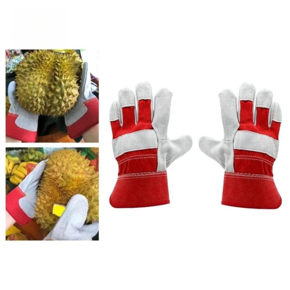 Heat Resistant Glove - Gants de jardinage en cuir de